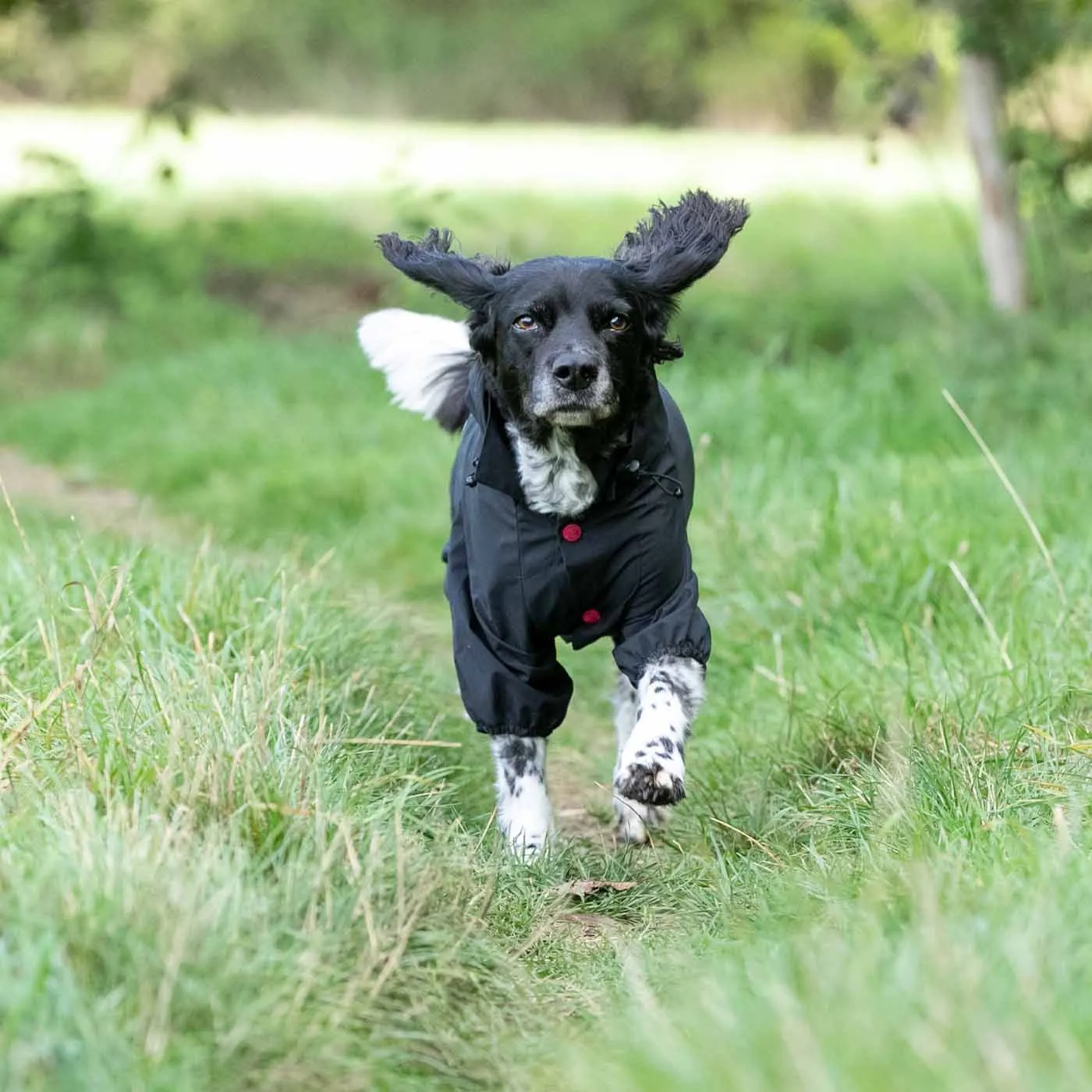 Hugo & Hudson Black Reflective Hooded Dog Overalls