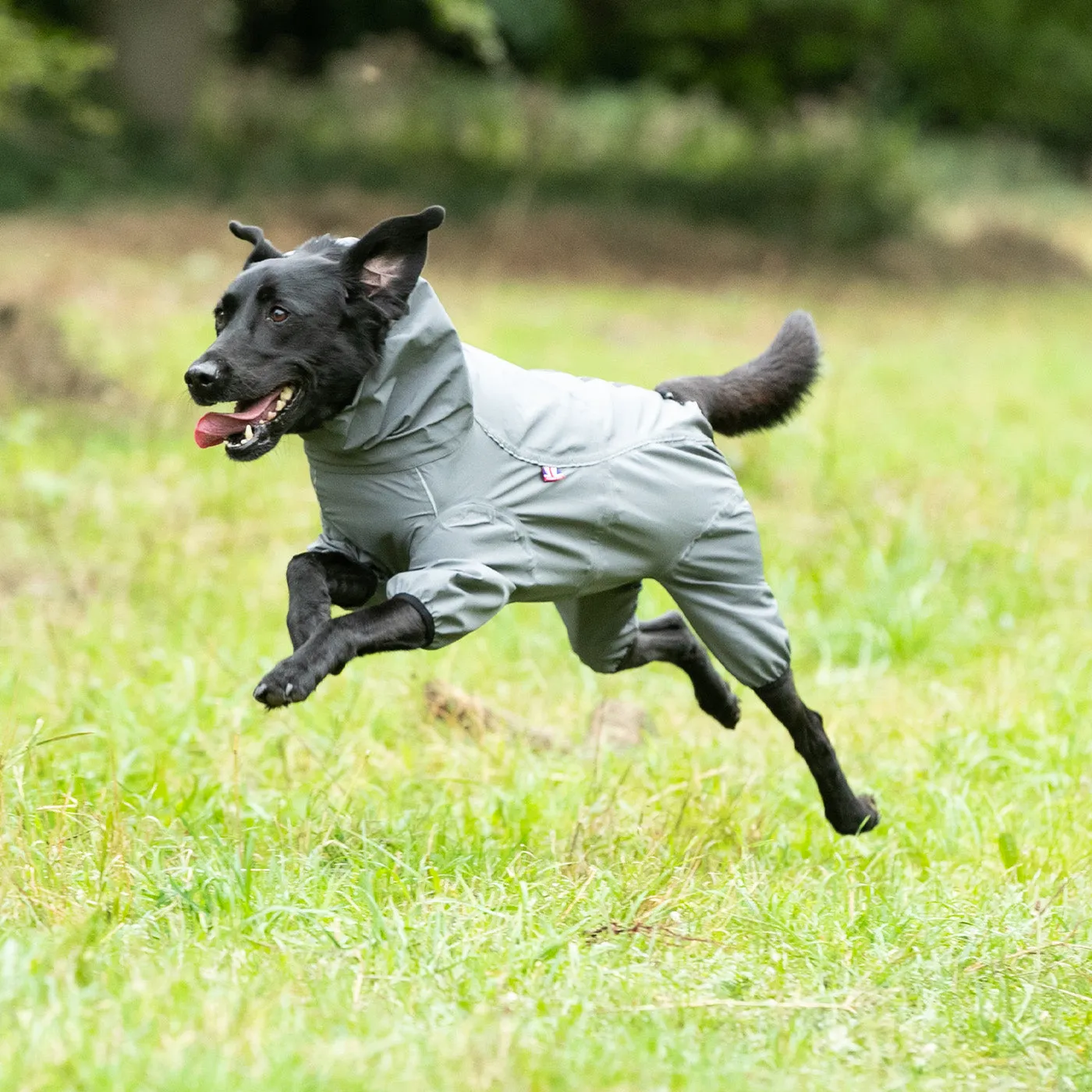 Hugo & Hudson Protective Dog Overalls