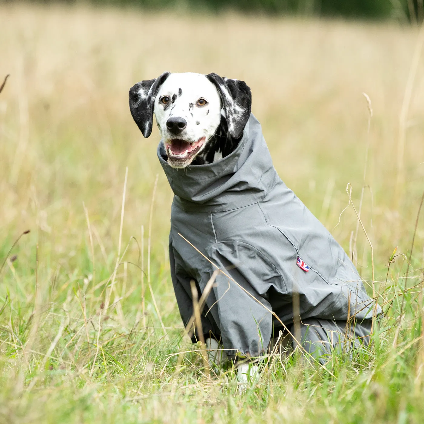 Hugo & Hudson Protective Dog Overalls