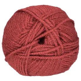 Plymouth Yarn Encore Worsted Yarn - 0212 Cinnabar