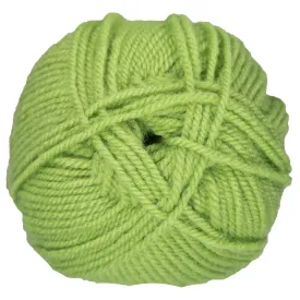 Plymouth Yarn Encore Worsted Yarn - 0451 Green Gremlin