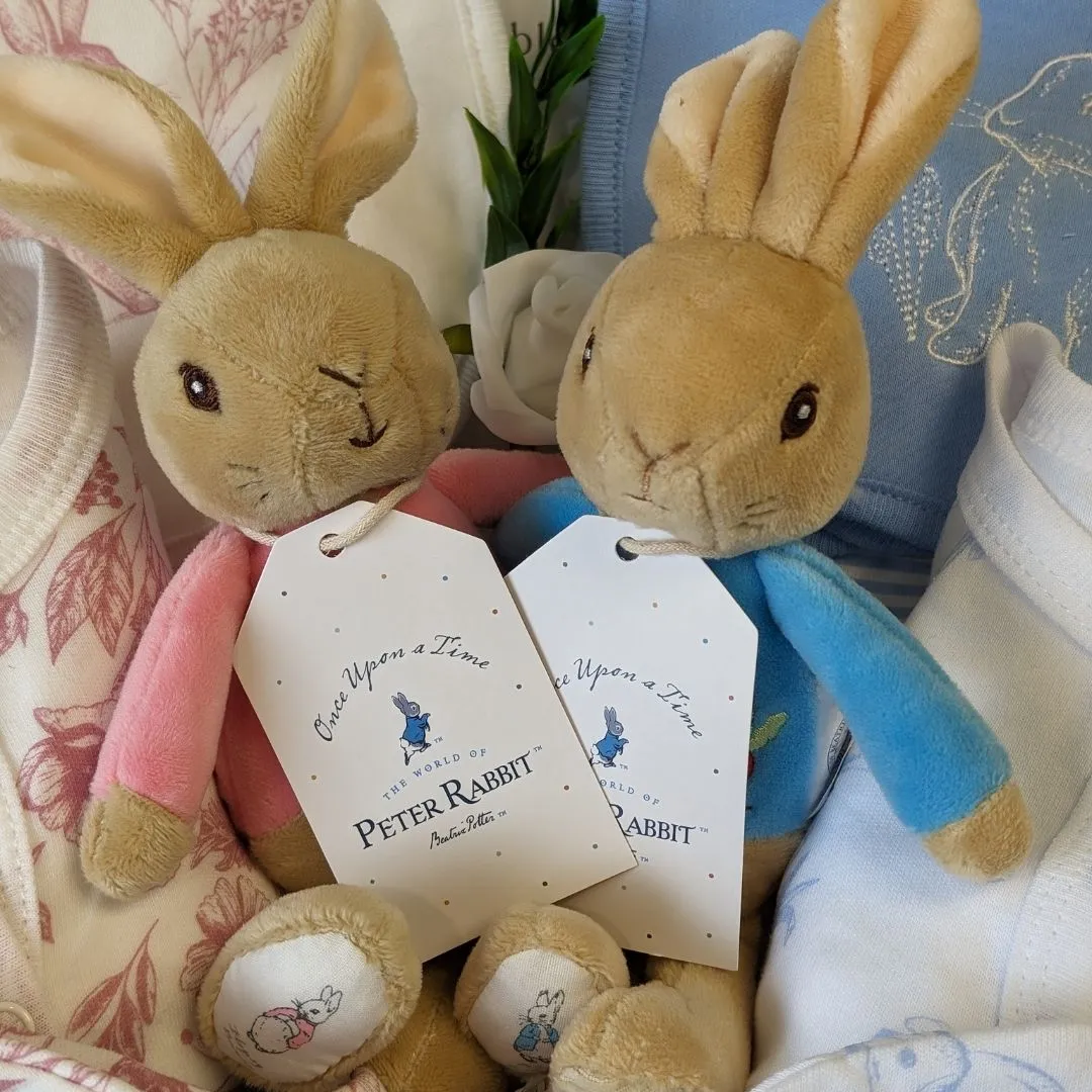 Twins Baby Hamper Trunk - Beautiful Bunnies